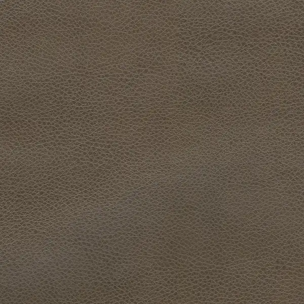 Picture of Renegade Bark upholstery fabric.
