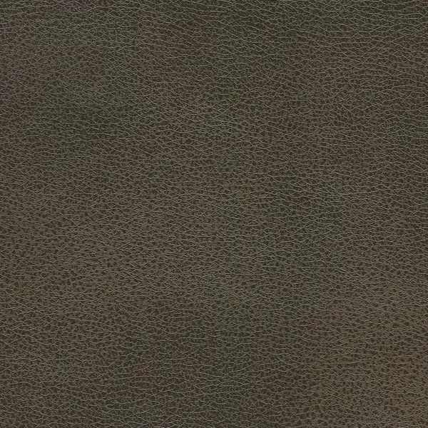 Picture of Mustang Mocha