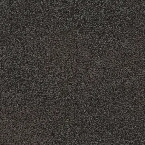 Picture of Mustang Leather