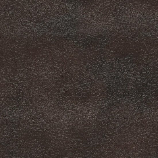 Picture of Matador Leather upholstery fabric.