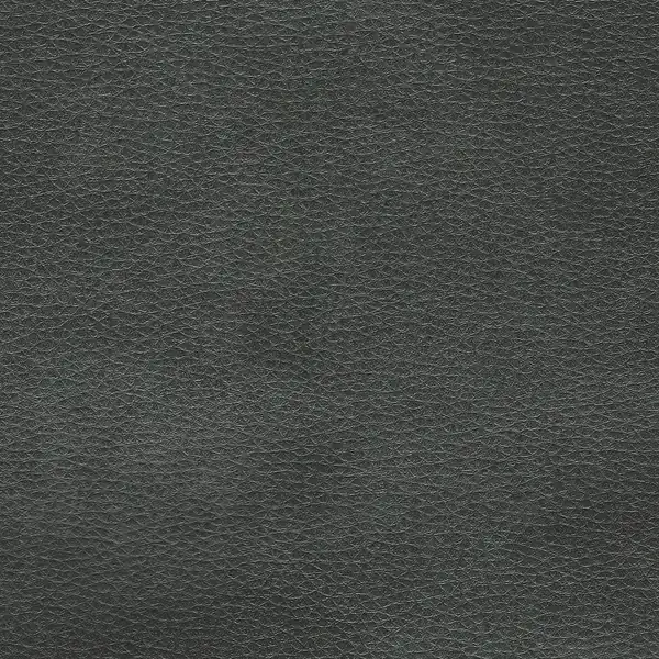 Picture of Austin Jet upholstery fabric.