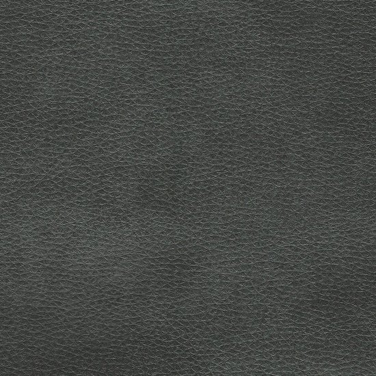 Picture of Austin Jet upholstery fabric.