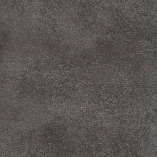 Picture of Ranger Mercury upholstery fabric.