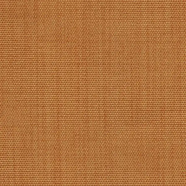 Picture of Malaga Apricot