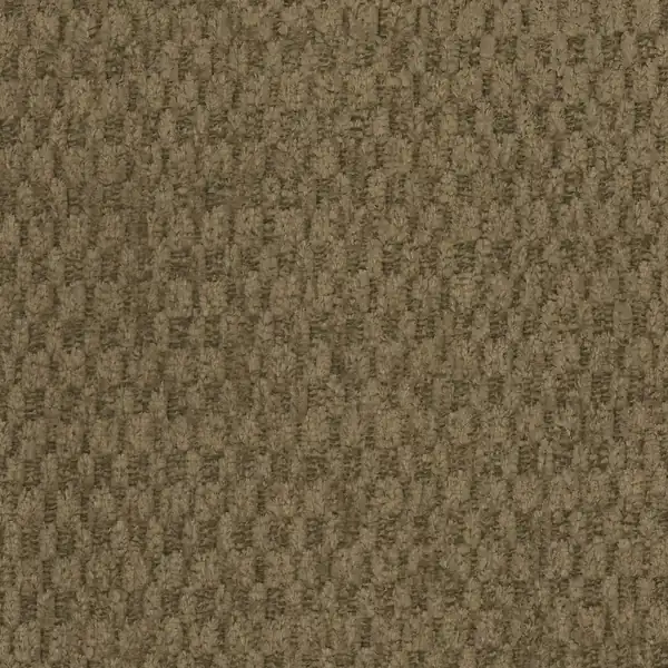 Picture of Zumba Bronze upholstery fabric.