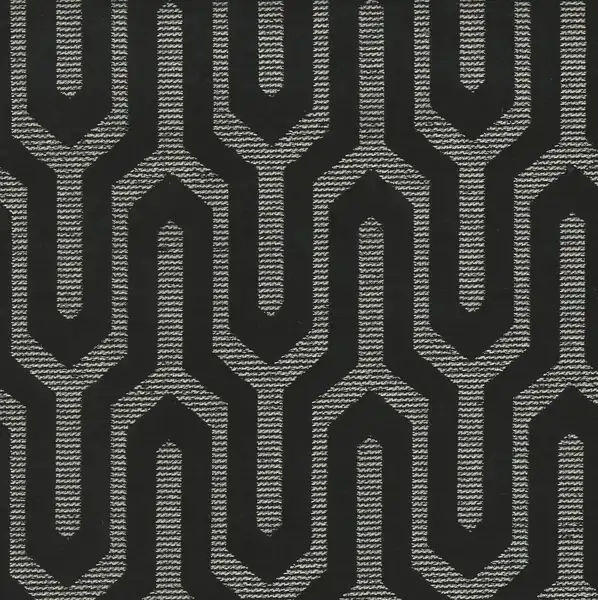 Picture of Moda Black upholstery fabric.