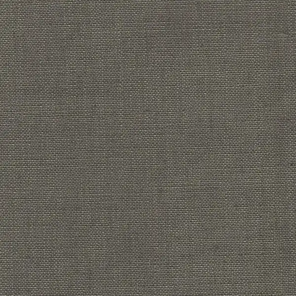 Picture of Allure Fossil