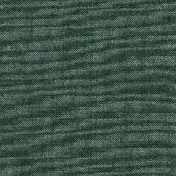 Picture of Allure Clover