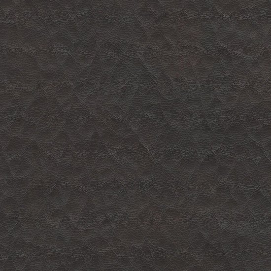 Picture of Fiji Leather upholstery fabric.