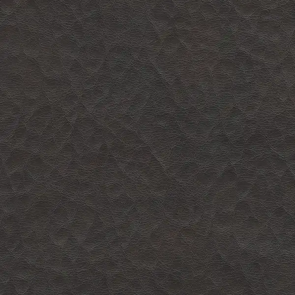 Picture of Fiji Leather upholstery fabric.