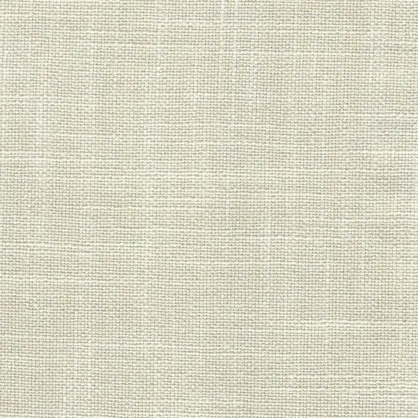 Picture of Anna Birch upholstery fabric.