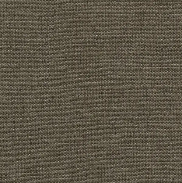 Picture of Anna Coffee upholstery fabric.