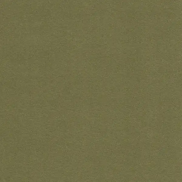 Picture of Modern Velvet Aloe upholstery fabric.