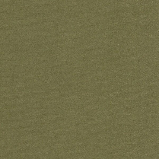 Picture of Modern Velvet Aloe upholstery fabric.