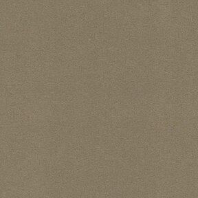 Picture of Modern Velvet Camel upholstery fabric.