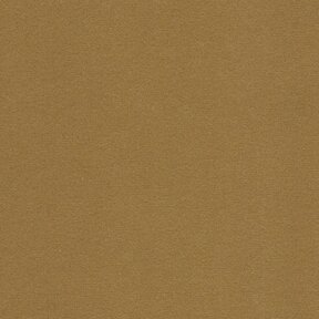 Picture of Modern Velvet Gold upholstery fabric.