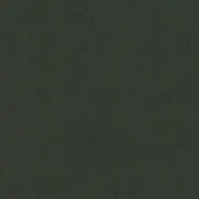 Picture of Modern Velvet Loden upholstery fabric.