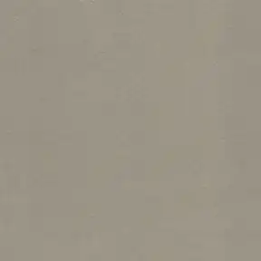 Modern Velvet Sand upholstery fabric in Beige