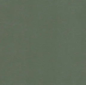 Modern Velvet Willow upholstery fabric in Green