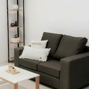 Popstar Brown upholstered sofa