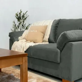 Modern Velvet Moon upholstered sofa