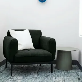 Roman Mink upholstered chair