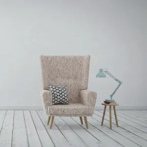 Gianna Birch upholstered chair