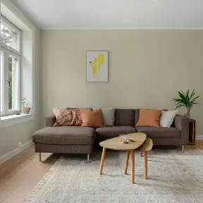 Nile Shitake upholstered sofa