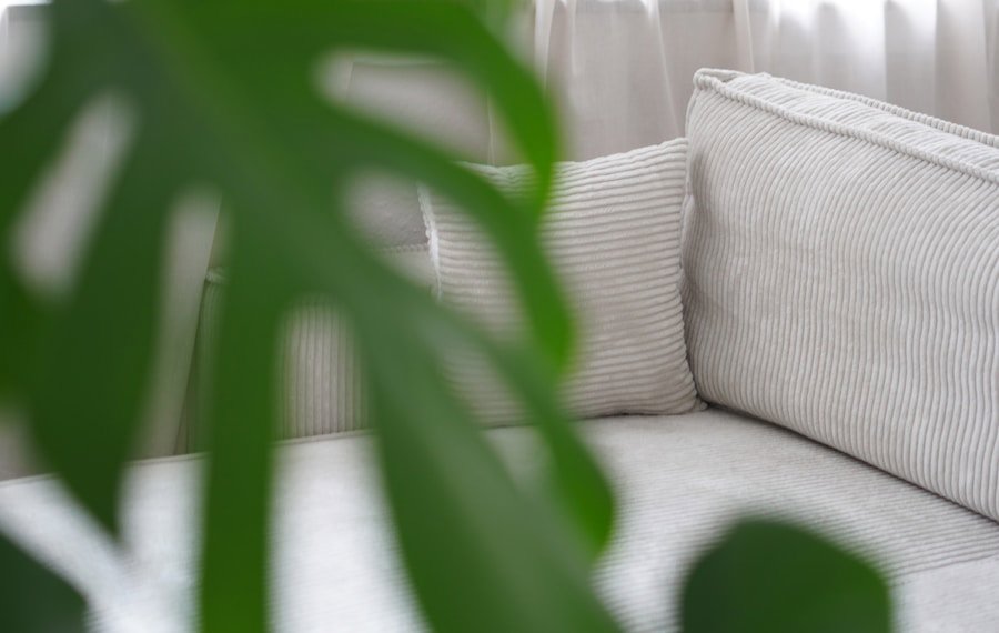 clean linen sofa spring