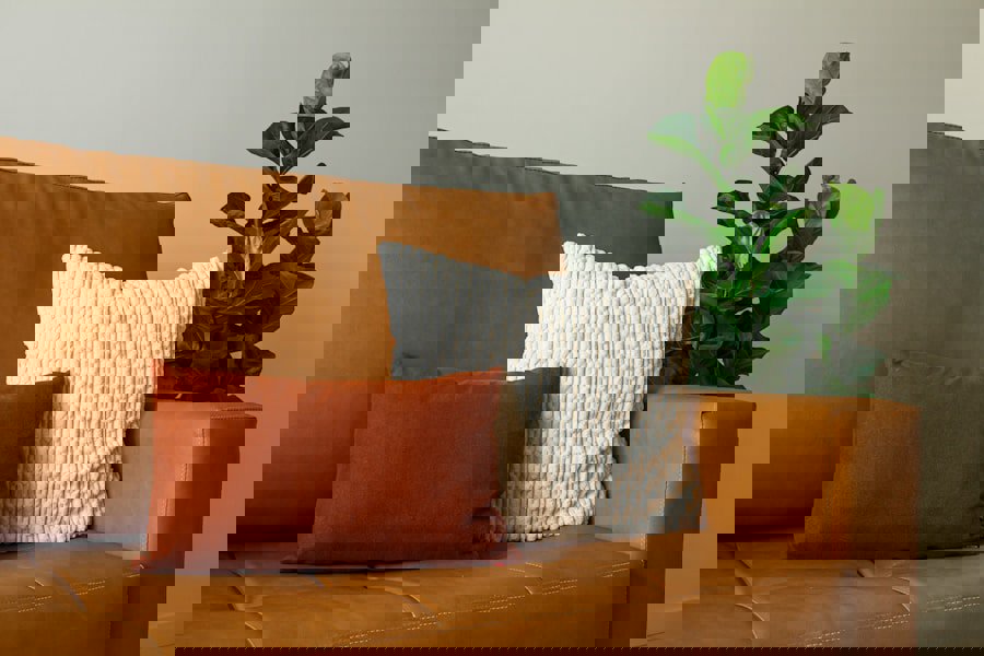 cozy living room sofa