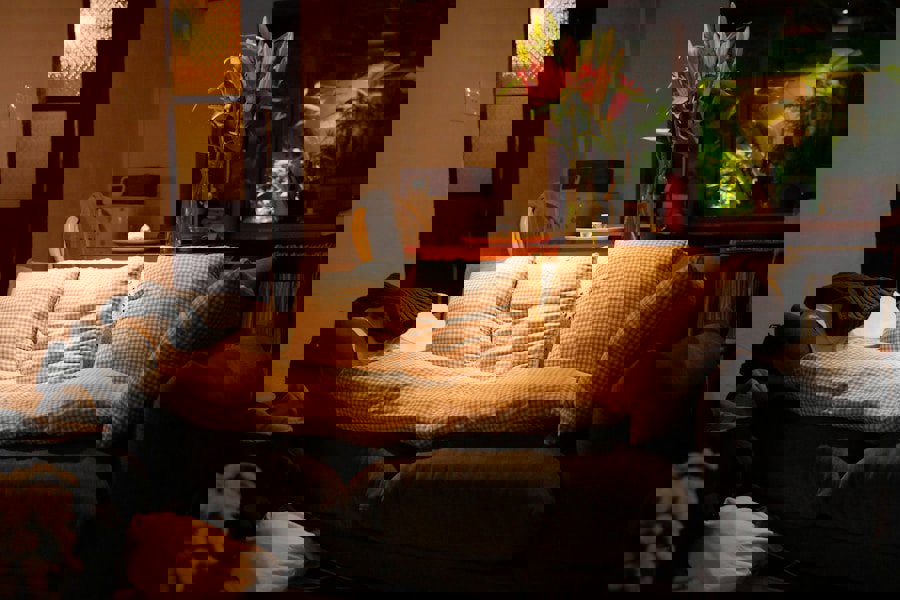 linen sofa natural light