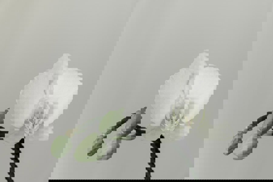 living room spring decor