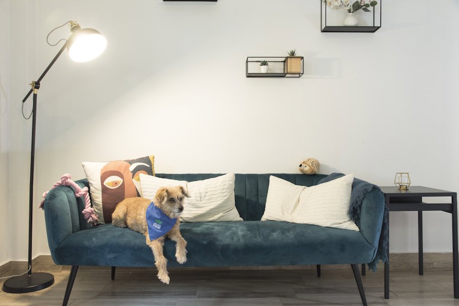 pet friendly sofa fabric