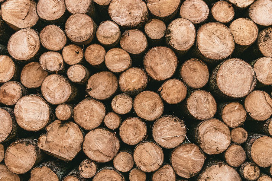 stacked firewood logs