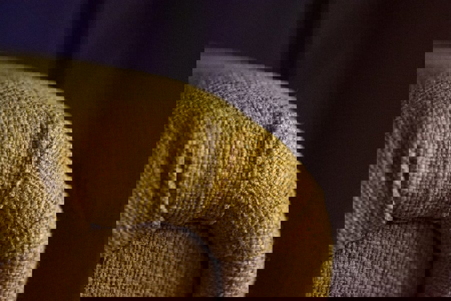 upholstery fabric texture close up