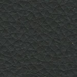 Vaca Black